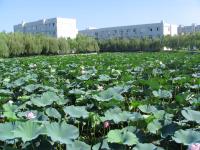 Albums/20060800-China Aug 2006/20060804-Shenyang University/7